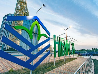 Поліція відкрила справу проти Нібулону за претензіями податкової п'ятирічної давнини