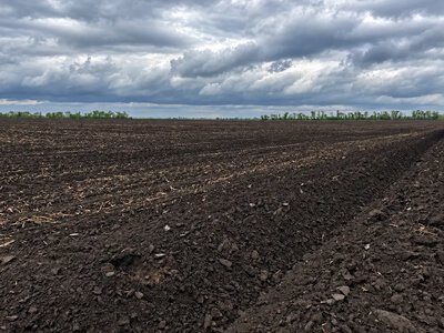 Землю незаконно оформили на померлих та росіянина