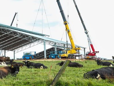 Вибір спецтехніки для будівництва: роль ґрунту
