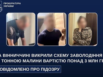 21 тонну малини шахраї викрали у жмеринчанина
