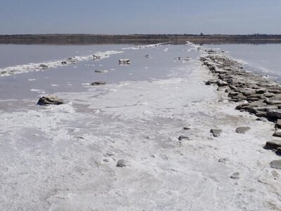 Нова компанія планує видобувати сіль на Куяльнику, щоб зменшити імпорт в Україні