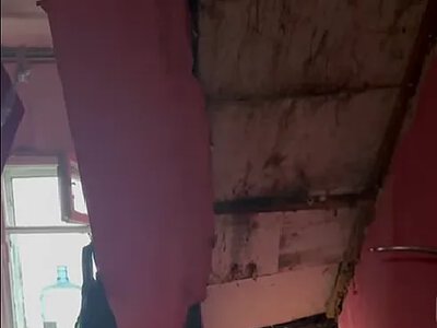 Мешканців миколаївського гуртожитку затоплює під час зливи (відео)