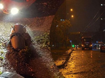 Під звуки вибухів: у пошкодженому ракетами пологовому Києва в укритті народився хлопчик