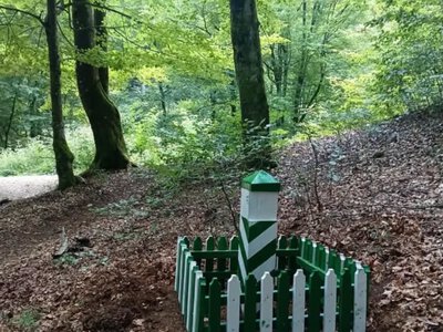 ​Секрети Карпатського заповідника: як нові знаки та квартальні стовпчики змінюють мандрівки для туристів