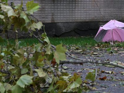 На Черкащині через негоду знеструмлено 30 населених пунктів