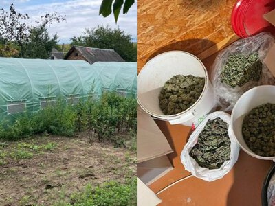 Гроубокси, автополив і 25 кг канабісу: чотирьох волинян викрили на наркобізнесі
