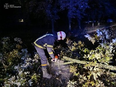 Рятувальники вночі розпилювали повалені дерева в Кременчуці та районі