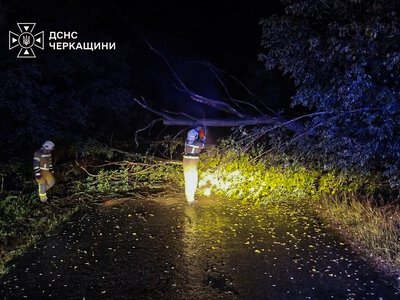 На Золотоніщині через негоду тричі розчищали дороги від повалених дерев