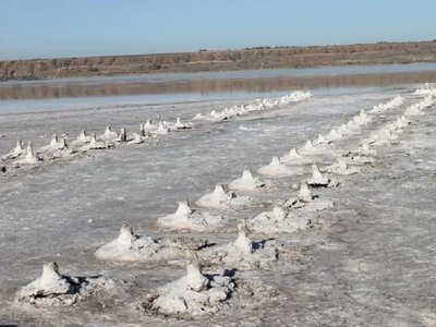 Для видобутку солі на Куяльнику під Одесою побудують новий завод: деталі проєкту
