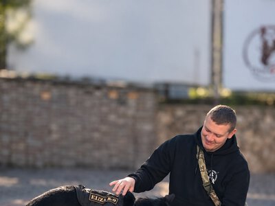 Реабілітація захисників через каністерапію на Тернопільщині