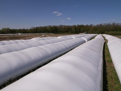Захист врожаю від атак Росії: фермери безкоштовно отримають рукави для зерна
