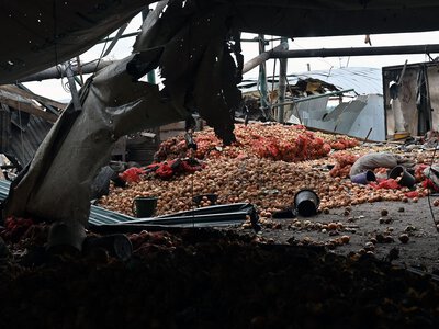 По фермерському господарству на Харківщині росіяни поцілили вже втретє від початку вторгнення (фото)