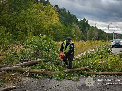 Негода наробила лиха на Сумщині: дерева падали на дороги й автомобілі