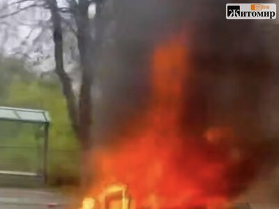 На Вітрука у Житомирі загорівся автомобіль. ВІДЕО
