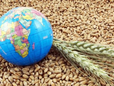 Україна у вересні експортувала 1,6 мільйона тонн агропродукції