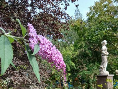 Миколаївський зоопарк запрошує відвідувачів на прогулянку