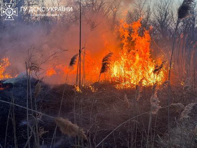 Понад три тонни викидів в атмосферу: наслідки удару по Південнівській громаді
