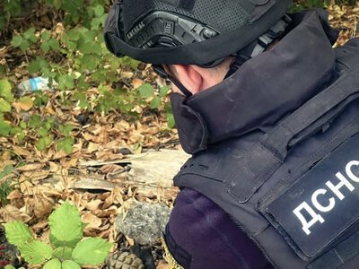 На Ужгородщині місцевий житель знайшов гранату часів Другої світової війни (ФОТО)