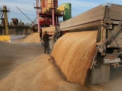 Латвія перевірятиме походження зернових вантажів із третіх країн, щоб виявити крадене українське збіжжя