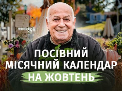 В ці дні город краще не садити: посівний календар на жовтень