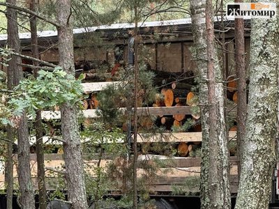 Викликав поліцію і чекав близько години: депутат заявив про вирубку лісу в Іршанській громаді