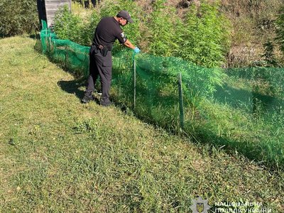 У Тростянці чоловік зберігав удома автомат, гранати, тротил і канабіс: справу передали до суду