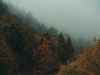 Якою буде погода на Рівненщині 25 вересня