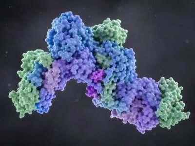 База AlphaFold поповнилася структурами білкових комплексів вірусів