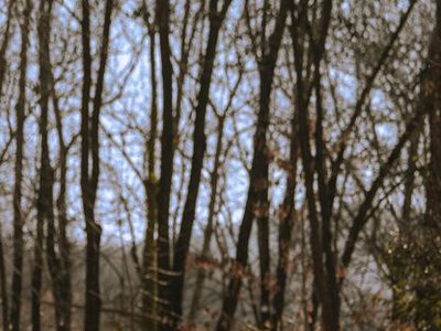 ПФУ звернувся до українців: хто може втратити виплати вже у наступному році