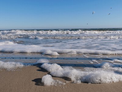 Екологічні наслідки війни для Чорного моря та Одеського узбережжя
