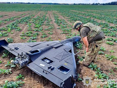 На Рівненщині вибухотехніки знищили два нерозірвані ворожі дрони