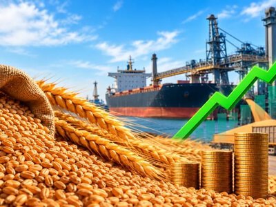 Експортні ціни на фуражну пшеницю в Україні зростають