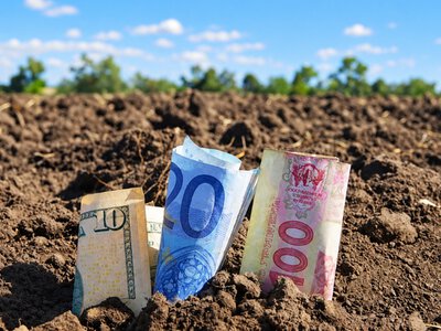 На Херсонщині директора ліцею запідозрили в передачі землі фермеру