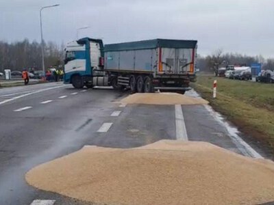 Поляки знову втромляють палиці в колеса: чому українське зерно не дає спокою ляхам?