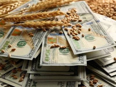 Ціни на фуражну пшеницю в портах Дунаю пішли вгору