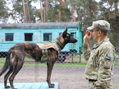Кмітлива, віддана й наполеглива: як 10-місячна вівчарка Джена стала найкращою ученицею в кінологічному загоні
