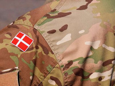 Разведка Дании предупредила о риске нападения РФ на страну НАТО в ближайшие месяцы