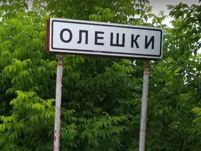  Комісар Ради Європи заявив про погіршення гуманітарної ситуації в Олешках на Херсонщині 