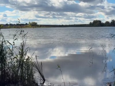 Неподалік Луцька є великий став, де можна безкоштовно порибалити з човна (Відео)