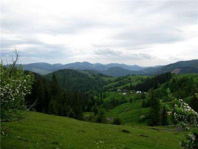 Мер Дніпра Борис Філатов купив будинок у Буковинських Карпатах