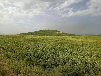 Городище Любимівка на Херсонщині пошкоджене на 40% через бойові дії