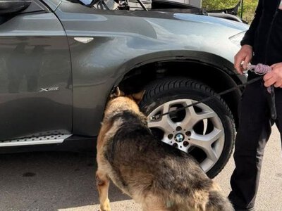 На Закарпатті митники знайшли у BMW X6 тайники з 1610 пачками сигарет (ФОТО)