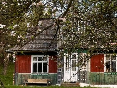 Жінка купила 100-річну хату в Карпатах за $13 тисяч: тепер там рай (фото)