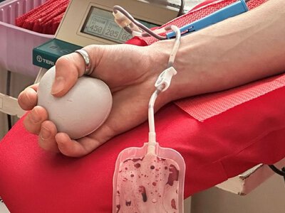 У Миколаєві керівнику станції переливання крові визначили заставу у чверть мільйона