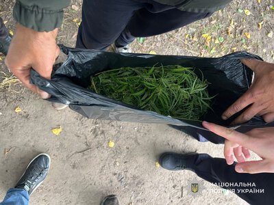 У Конотопі викрили чоловіка, який зберігав наркотичні рослини