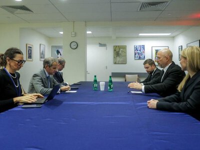 Шмигаль обговорив із директором МАГАТЕ ситуацію на окупованій Запорізькій АЕС