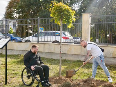 У Тячеві з’явилася «Алея Захисників»: ветерани з Бучі та Закарпаття висадили дерева на честь Героїв