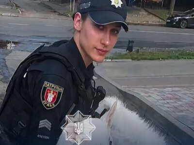 Патрульні Луцька врятували собаку, якого збив водій
