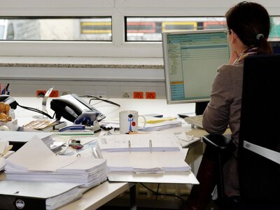 Сороки зірвали експеримент із GPS: птахи навчилися звільняти одне одного від трекерів