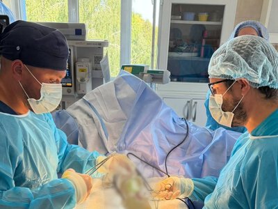 Французькі лікарі кілька днів працювали у Рівненській обласній лікарні